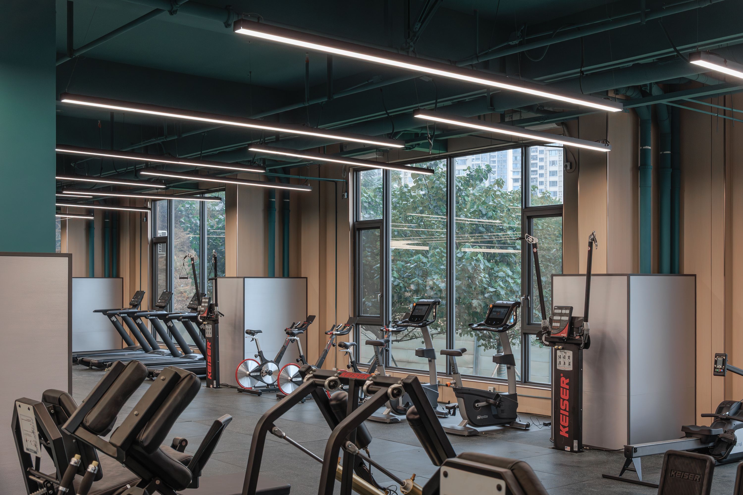 苏炳添T9体能中心